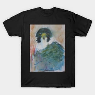 Peregrine Falcon T-Shirt